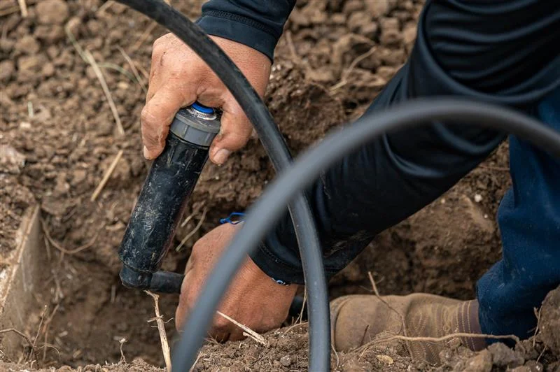 Sprinkler head inspection during Fort Worth irrigation service