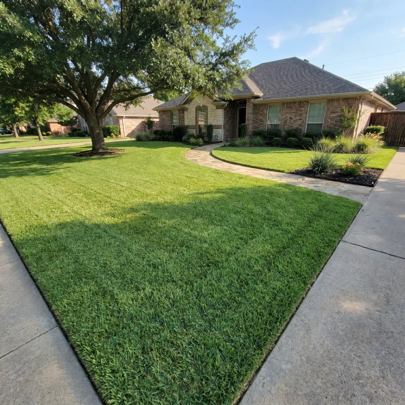 Sod Installation Services Southlake TX Black Hill Landscaping
