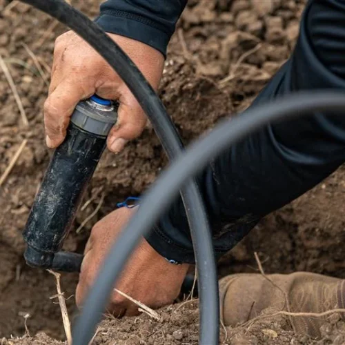 Sprinkler head inspection during Fort Worth irrigation service