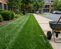 Fertilization and Weed Control Planning Fort Worth Black Hill Landscaping