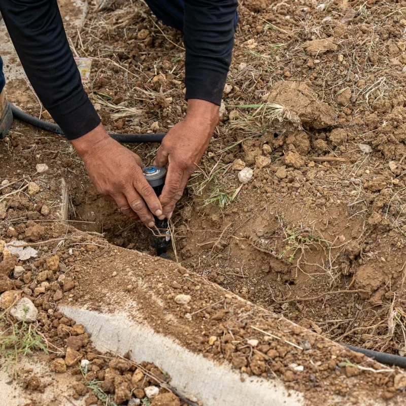 Sprinkler Systems Inspection in North Texas Black Hill Landscaping