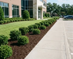 Commercial Landscape Maintenance Arlington TX Black Hill Landscaping