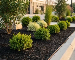 Landscape Bed and Plant Stewardship Black Hill Landscaping Commercial Maintenance Services
