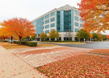 Leaves vs. Commercial Properties Dangers and Smart Solutions