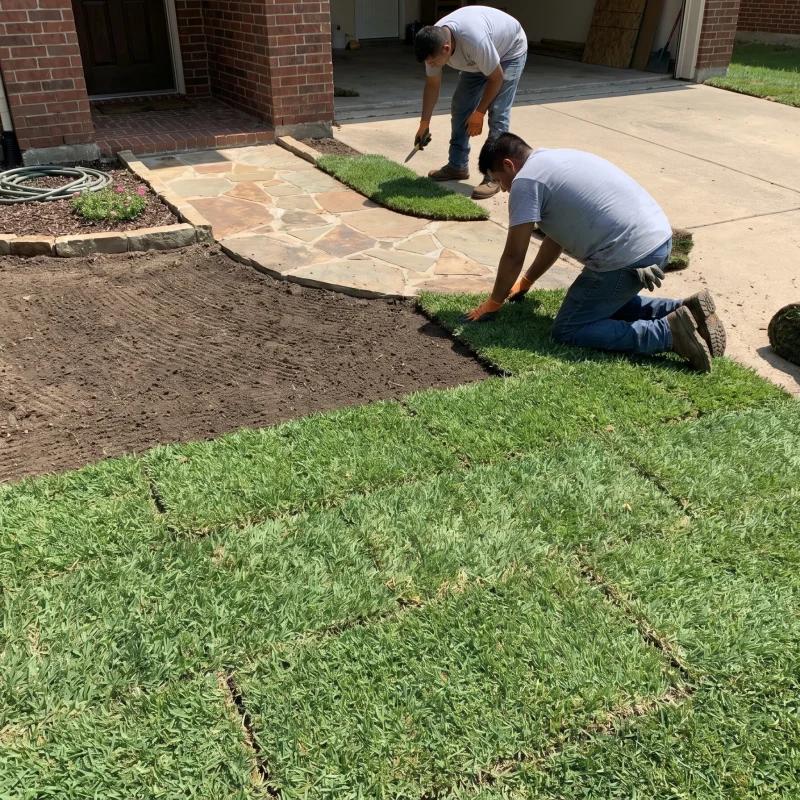 Sod Installation Services Keller TX Black Hill Landscaping