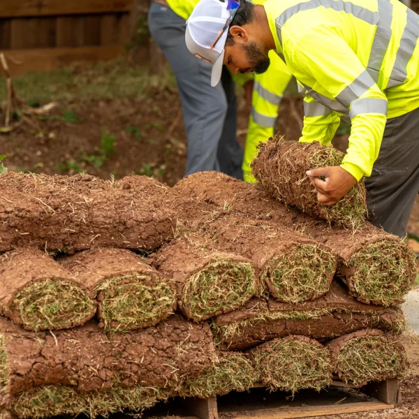 Professional sod installation by Black Hill Landscaping crew in Fort Worth