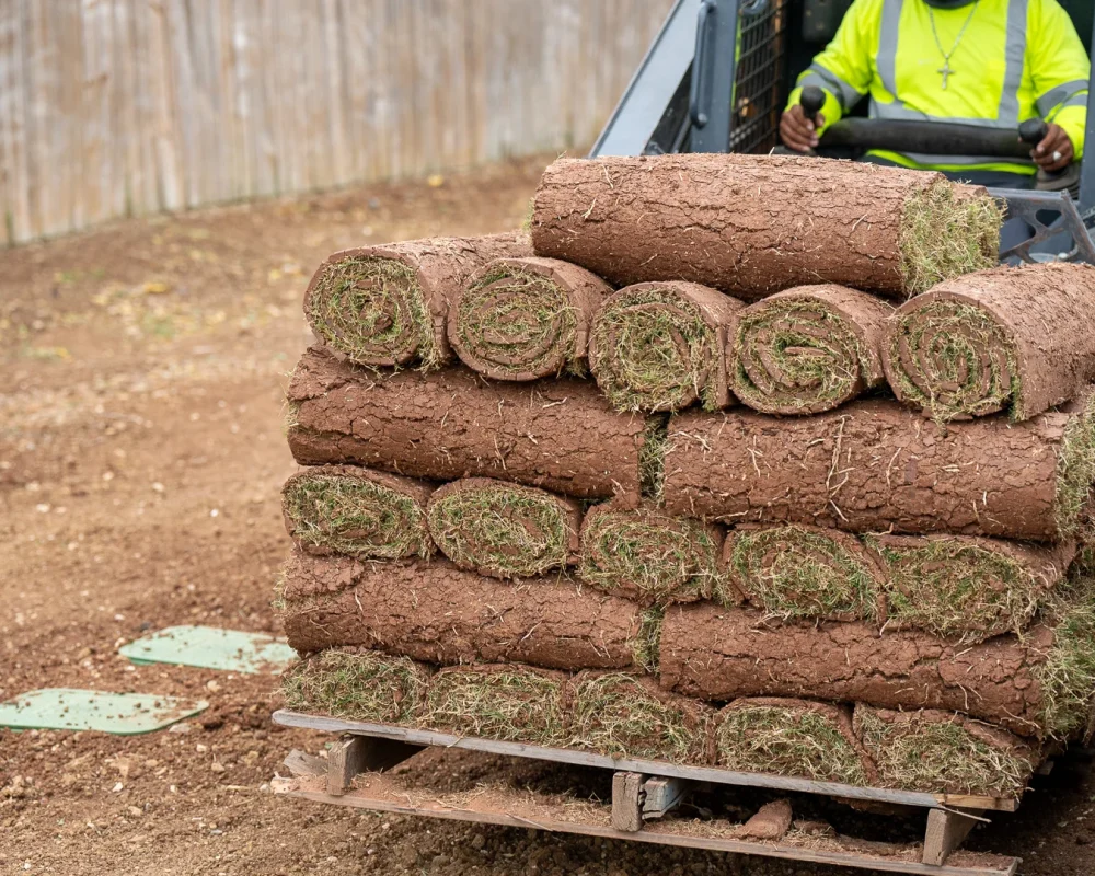 Sod Installation Services in Fort Worth Black Hill Landscaping