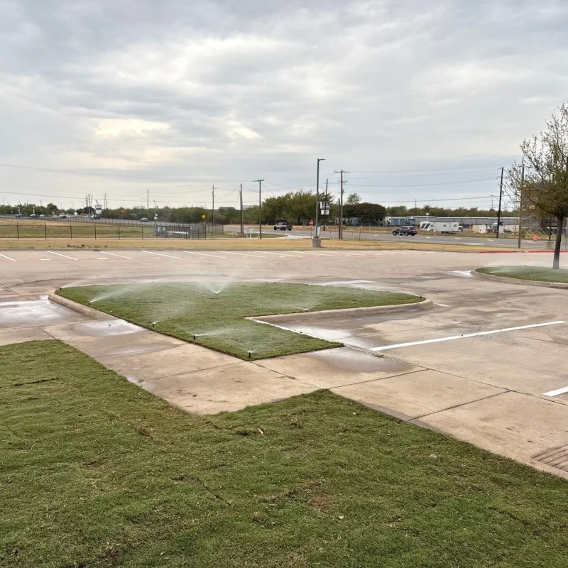 Sprinkler Systems Inspection in North Texas Black Hill Landscaping