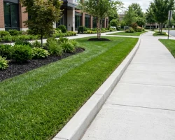 Turf and Surface Management Black Hill Landscaping Fort Worth