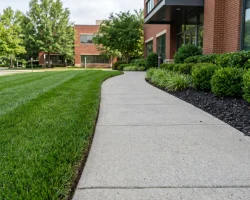 Commercial Landscape Maintenance Arlington TX Black Hill Landscaping